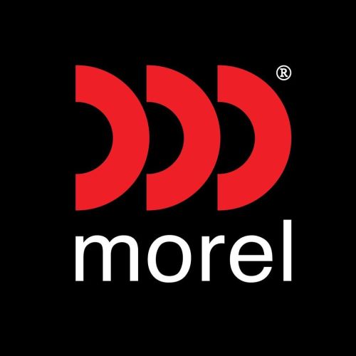 Morel