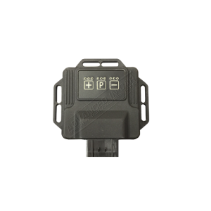 DTE FSR-14 – Petrol Tuning Box